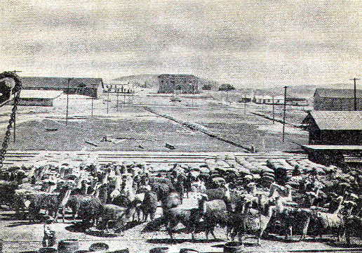 [Illustration] from Stories of South America by E. C. Brooks