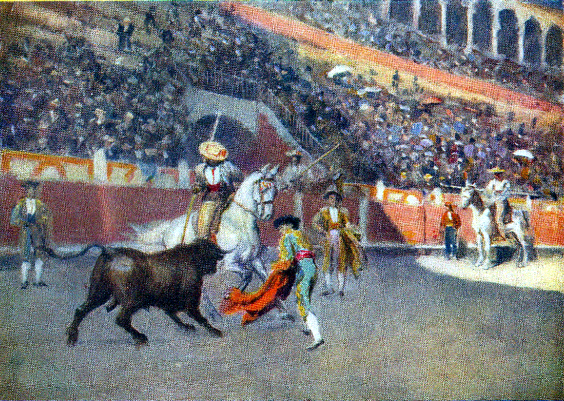 A bull fight.
