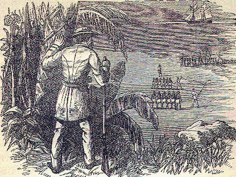 slaves sent on board