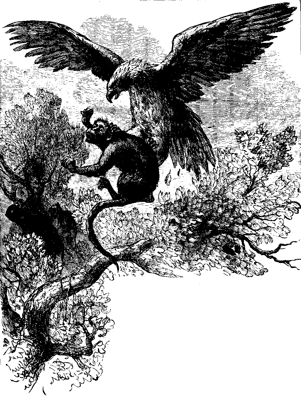 guanionien--carniverous bird