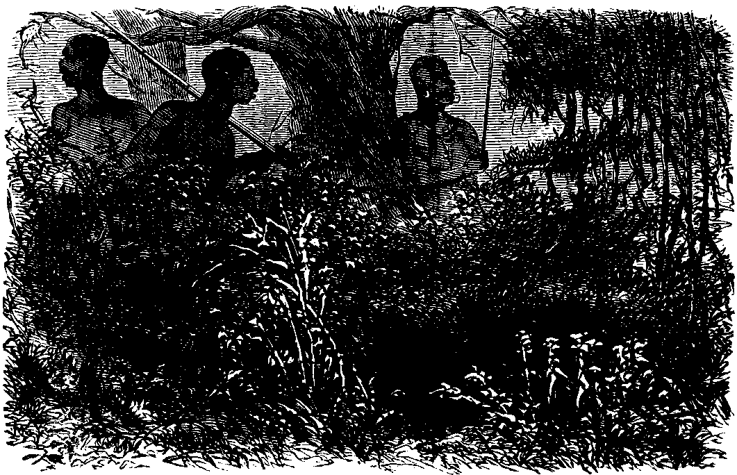 hunting for elelphant