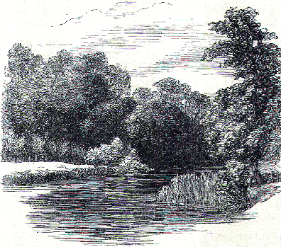 [Illustration] from The Story of Liberty by Charles Coffin