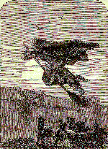 [Illustration] from The Story of Liberty by Charles Coffin