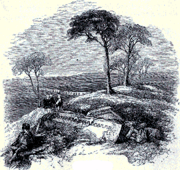 [Illustration] from The Story of Liberty by Charles Coffin