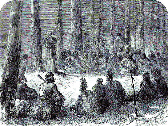 [Illustration] from The Story of Liberty by Charles Coffin