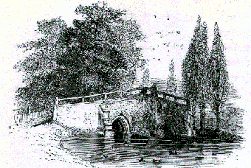 [Illustration] from The Story of Liberty by Charles Coffin