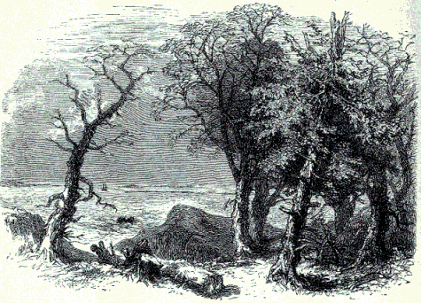 [Illustration] from The Story of Liberty by Charles Coffin