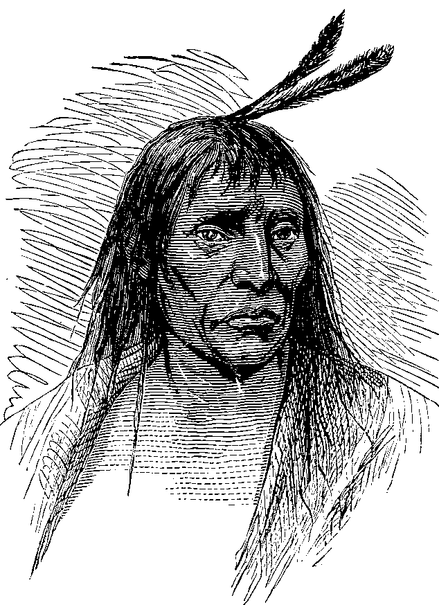 North American Indian