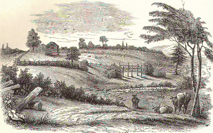 Battle-field at Oriskany