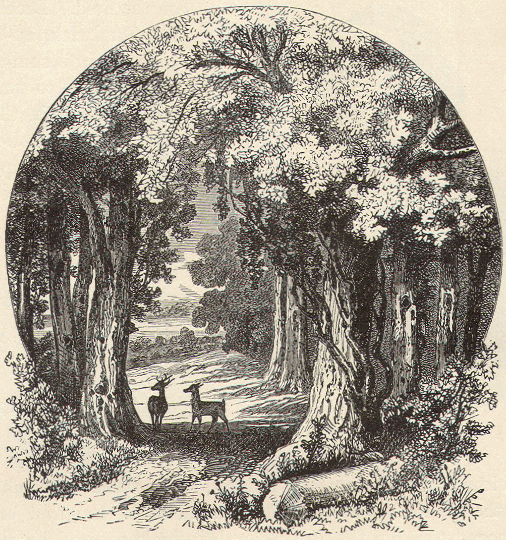 Maguaga Battle ground