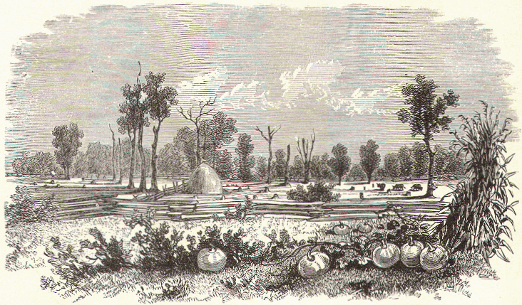 Thames Battle-ground