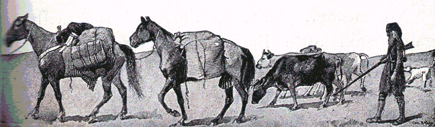 [Illustration] from American Life and Adventure by Edward Eggleston