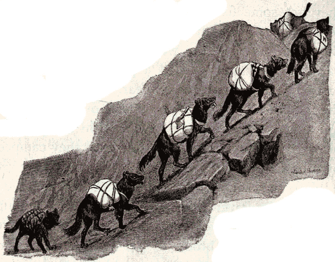 [Illustration] from American Life and Adventure by Edward Eggleston