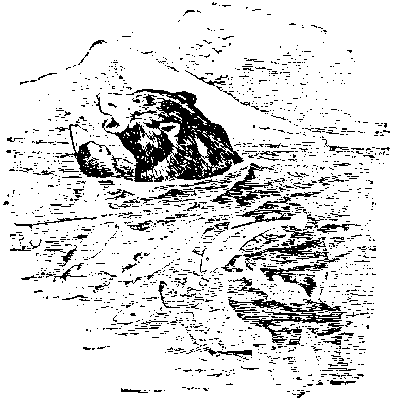 [Illustration] from First Book in American History by Edward Eggleston