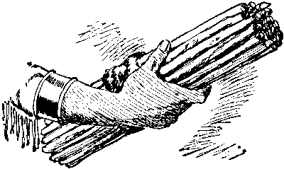 [Illustration] from First Book in American History by Edward Eggleston