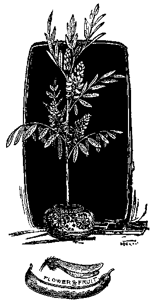 [Illustration] from Great Americans by Edward Eggleston