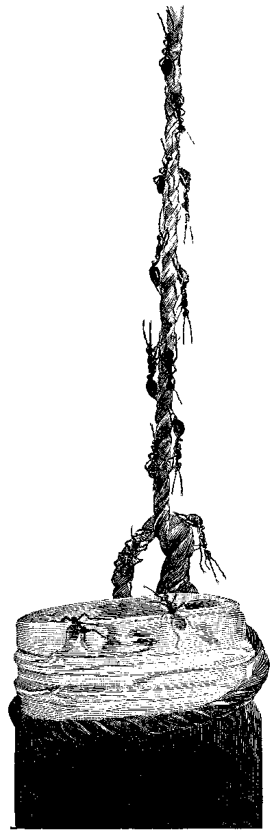 [Illustration] from Great Americans by Edward Eggleston