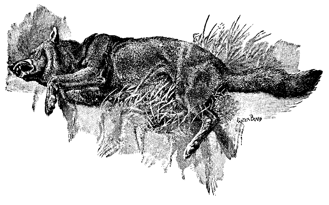 [Illustration] from Great Americans by Edward Eggleston