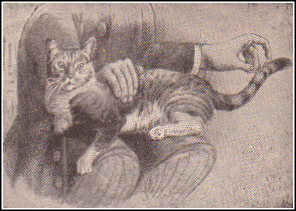 [Illustration] from Great Americans by Edward Eggleston