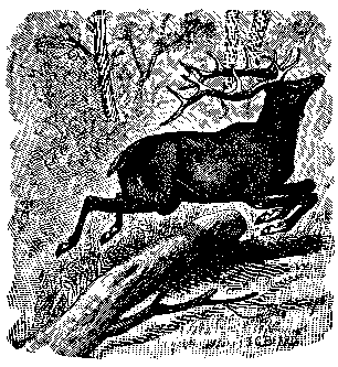 [Illustration] from Great Americans by Edward Eggleston