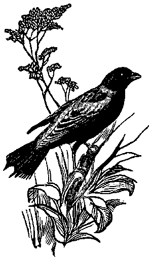 [Illustration] from Great Americans by Edward Eggleston