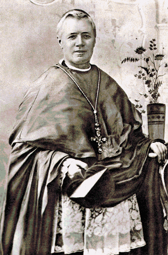 Cardinal Sarto