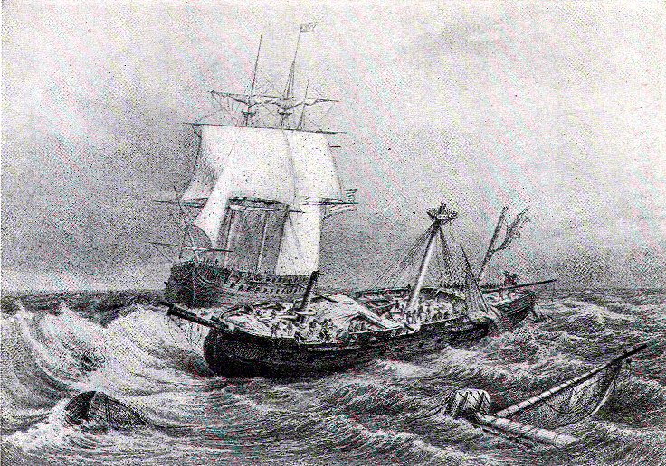 Constitution vs. Guerriere