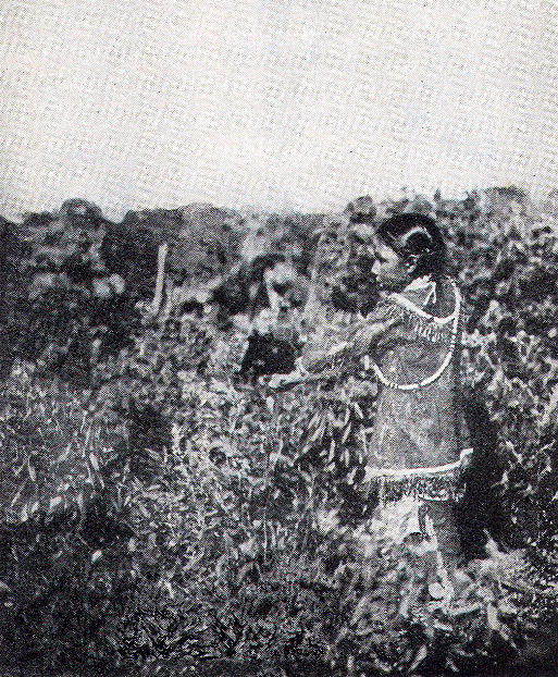 hunting by the river