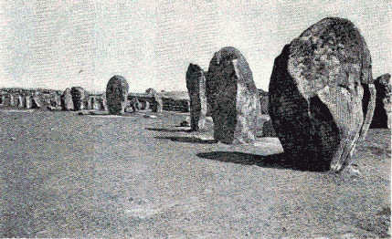 Druid stones at Carnac, Britanny