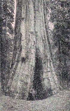 [Illustration] from Story of the Great Republic by Helene Guerber