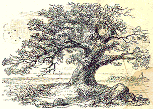 [Illustration] from Story of the Thirteen Colonies by Helene Guerber