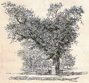 [Illustration] from Story of the Thirteen Colonies by Helene Guerber