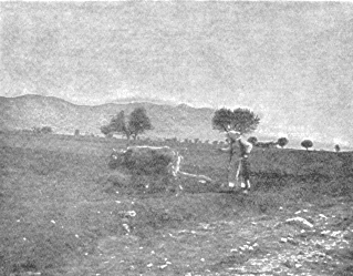 [Illustration] from Famous Men of Greece by John Haaren