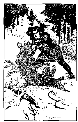 [Illustration] from Viking Tales by Jennie Hall