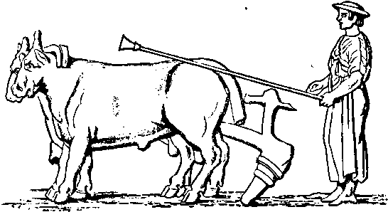 [Illustration] from City of the Seven Hills by S. B. Harding