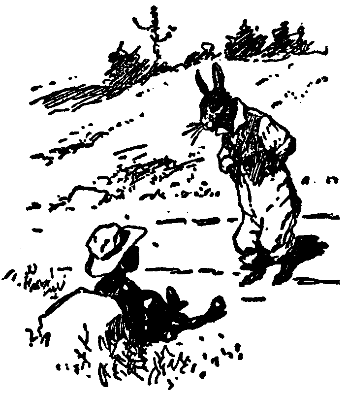 [Illustration] from  by 