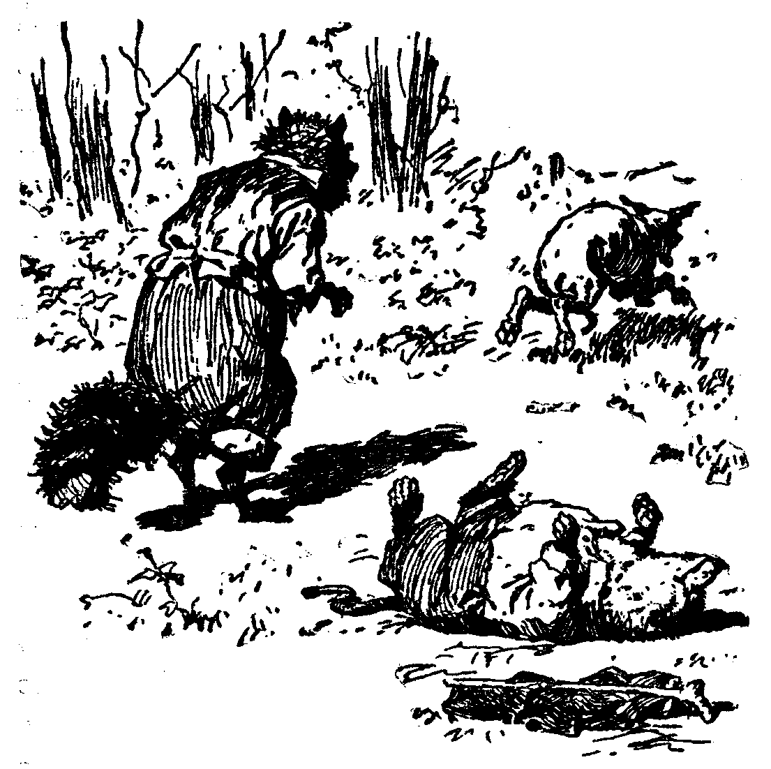 [Illustration] from  by 