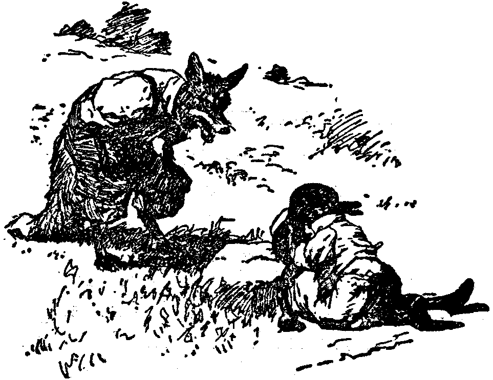 [Illustration] from  by 