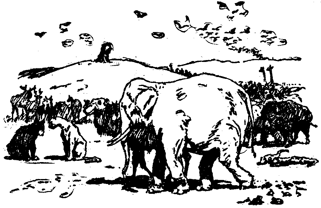 [Illustration] from  by 