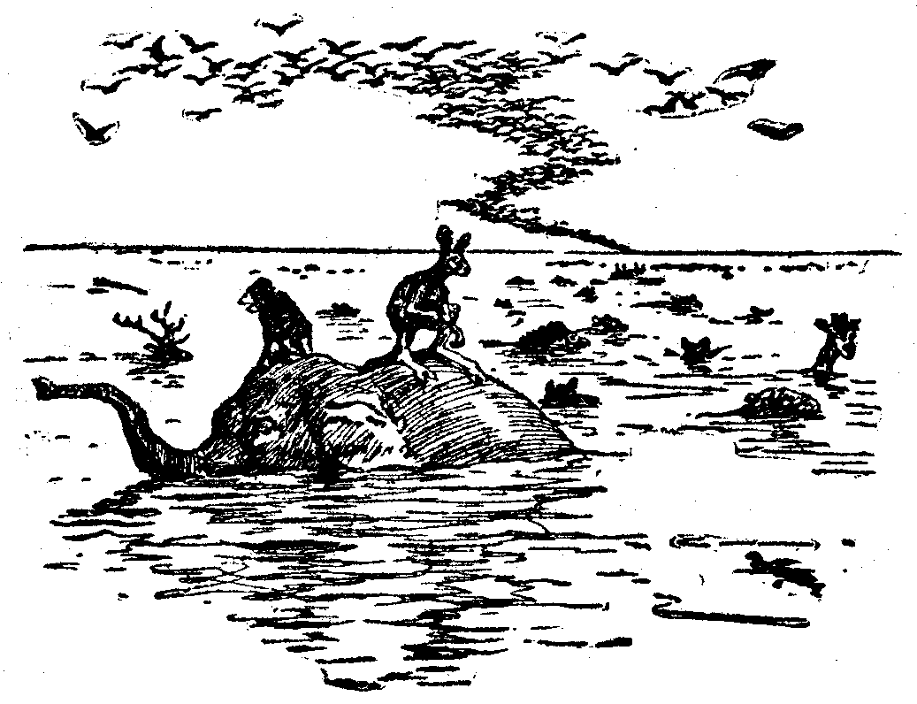 [Illustration] from  by 