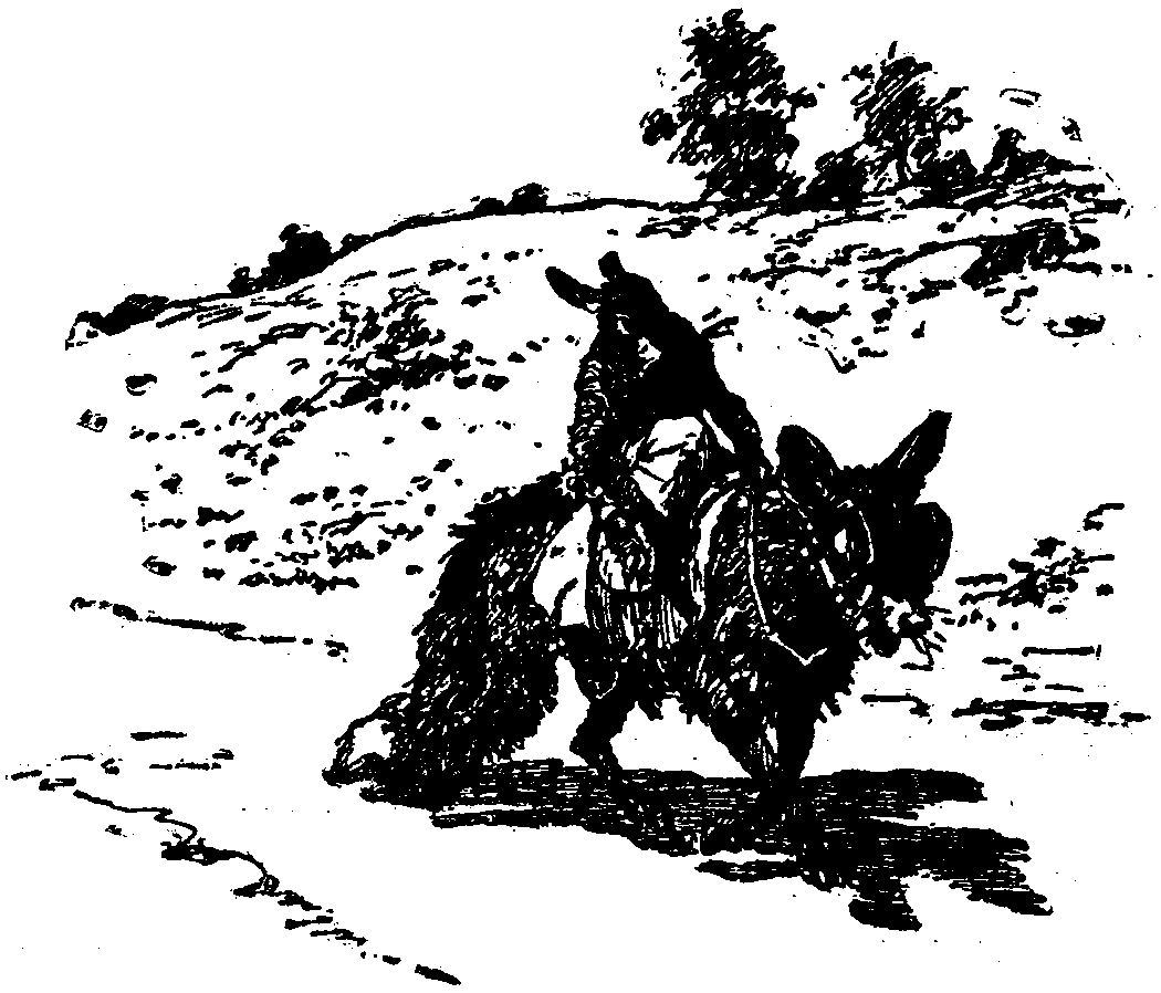 [Illustration] from  by 