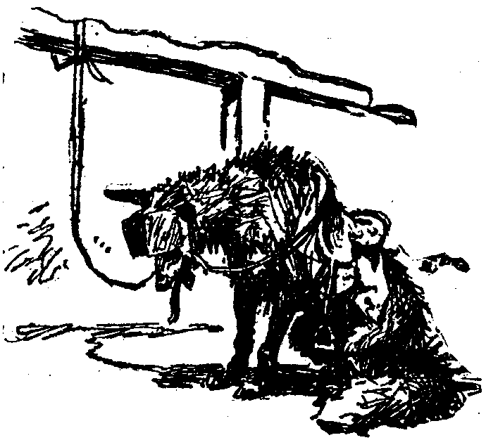 [Illustration] from  by 