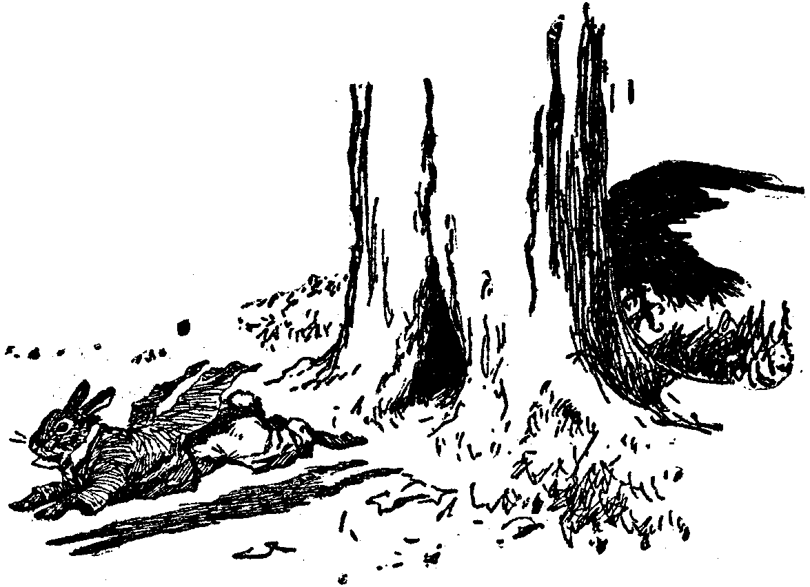 [Illustration] from  by 