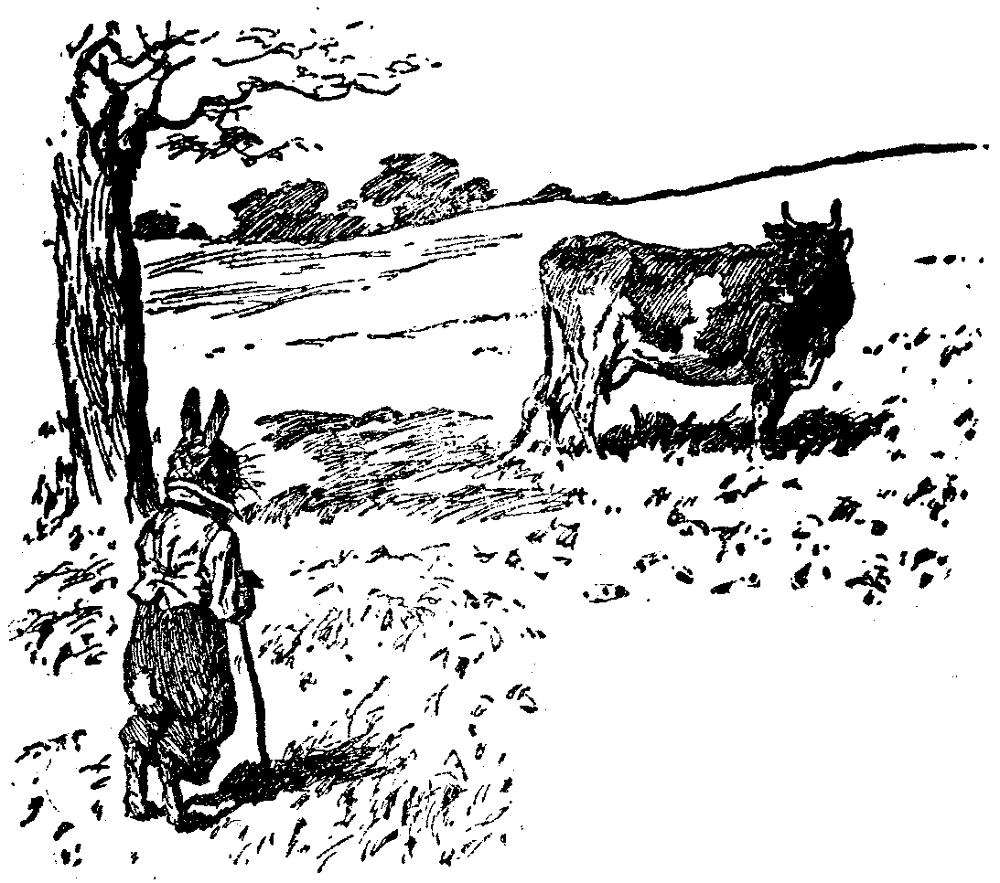 [Illustration] from  by 