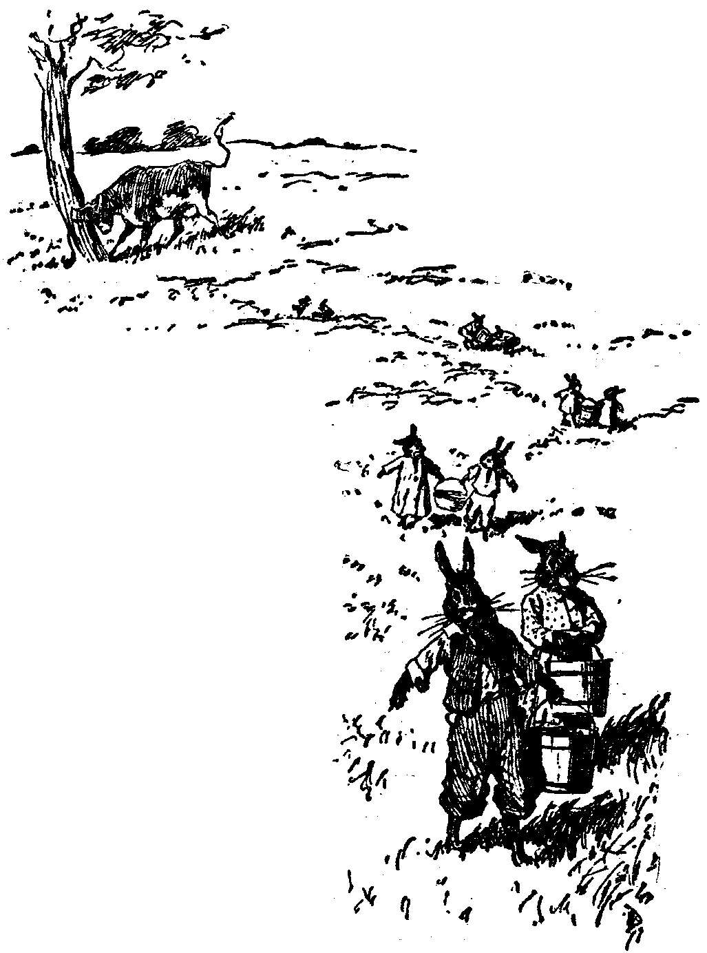 [Illustration] from  by 