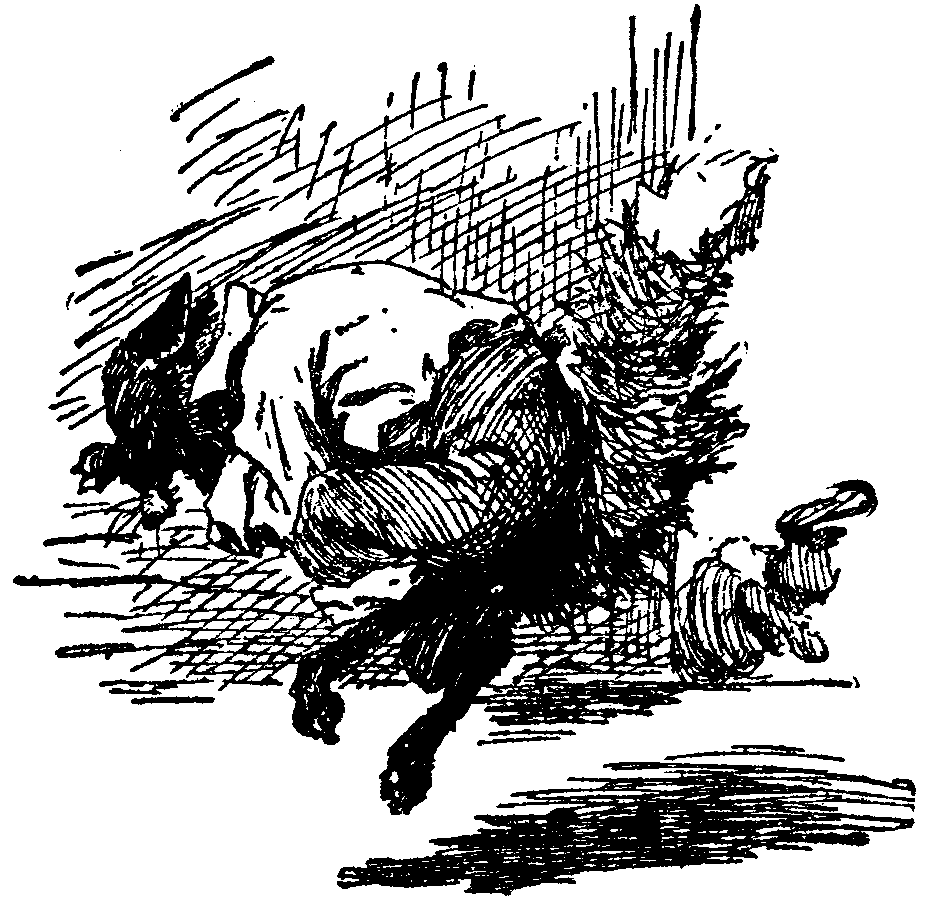 [Illustration] from  by 