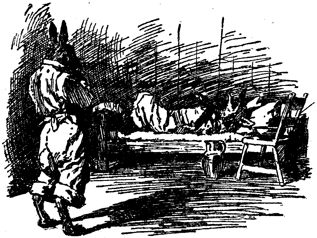 [Illustration] from  by 