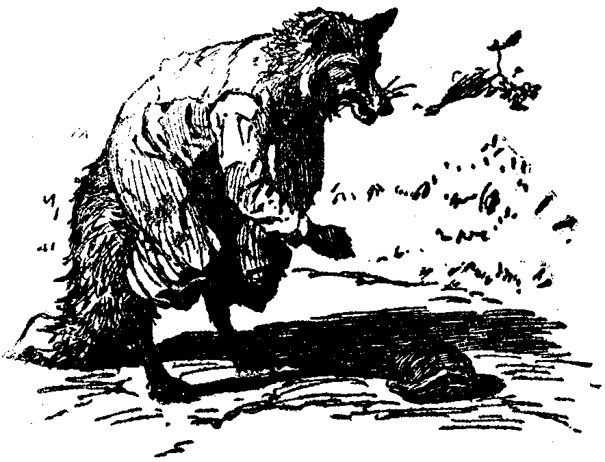 [Illustration] from  by 