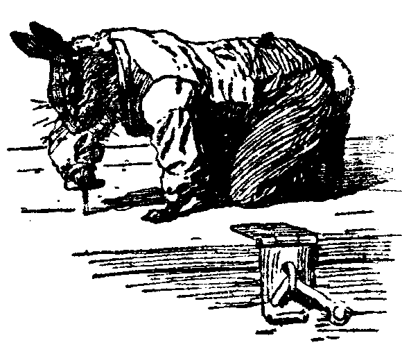 [Illustration] from  by 