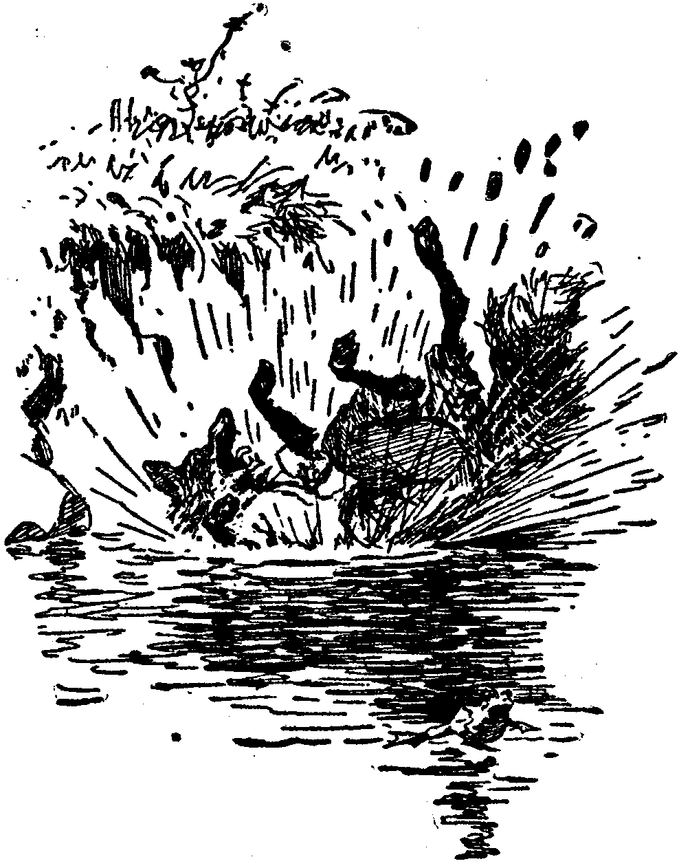 [Illustration] from  by 